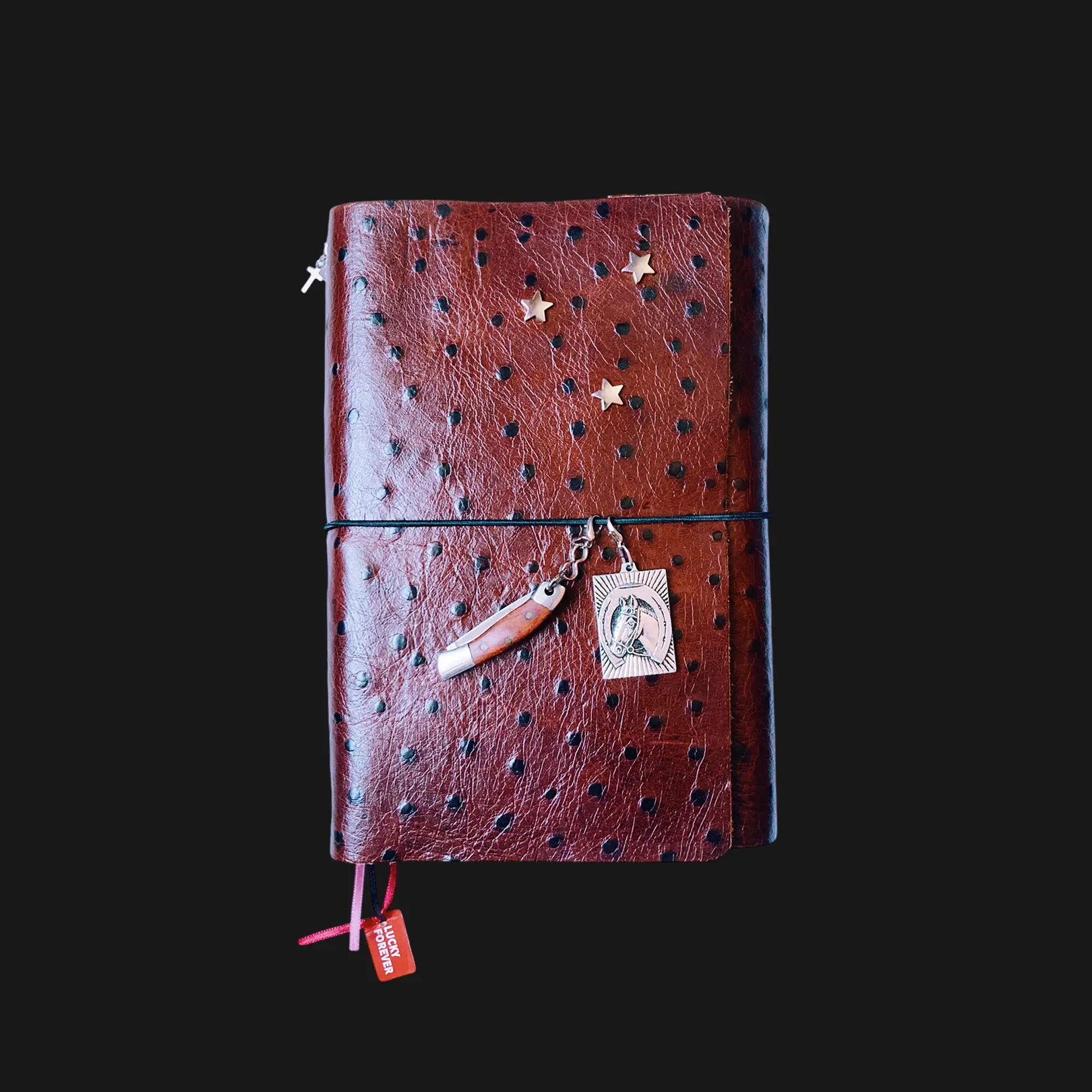 diary