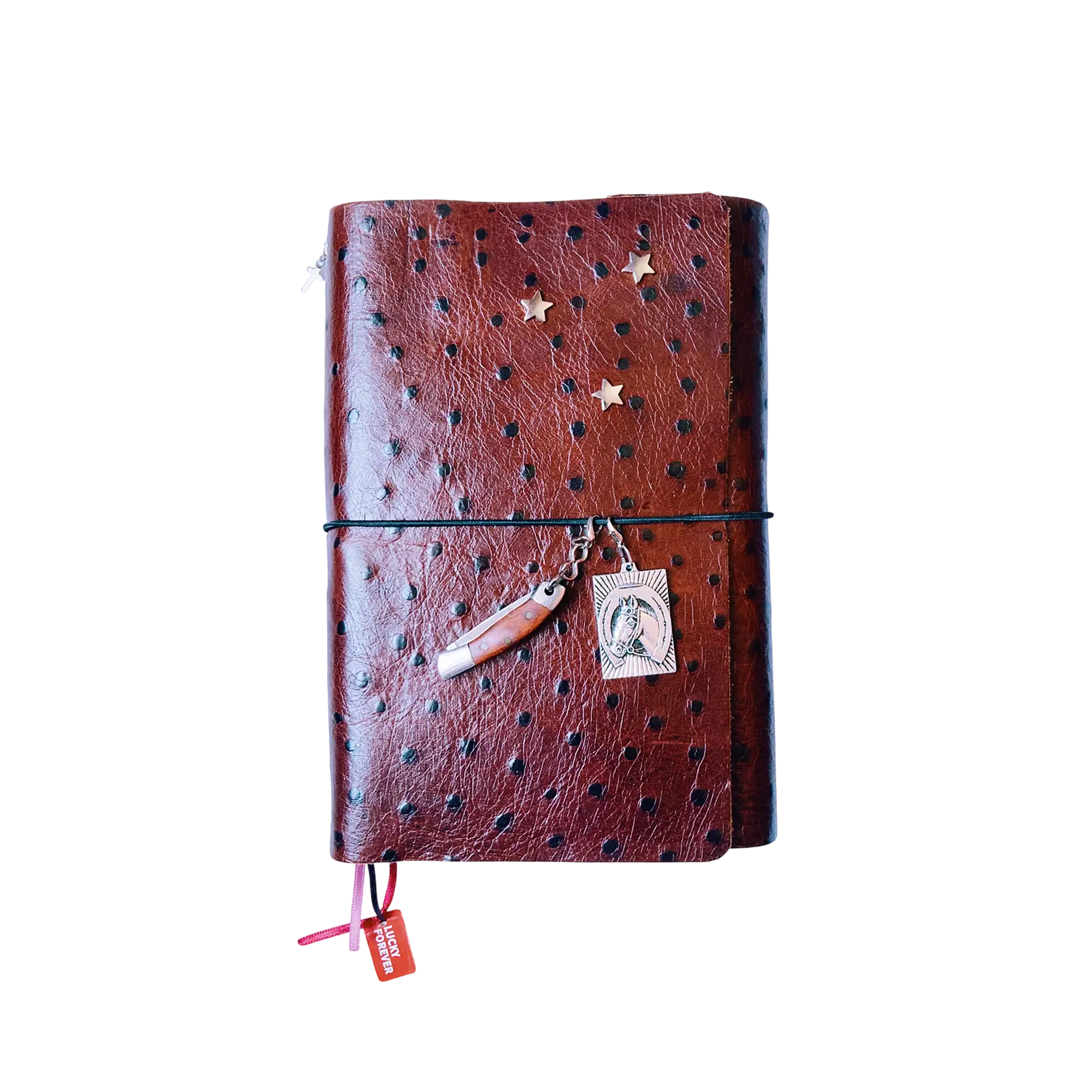 diary