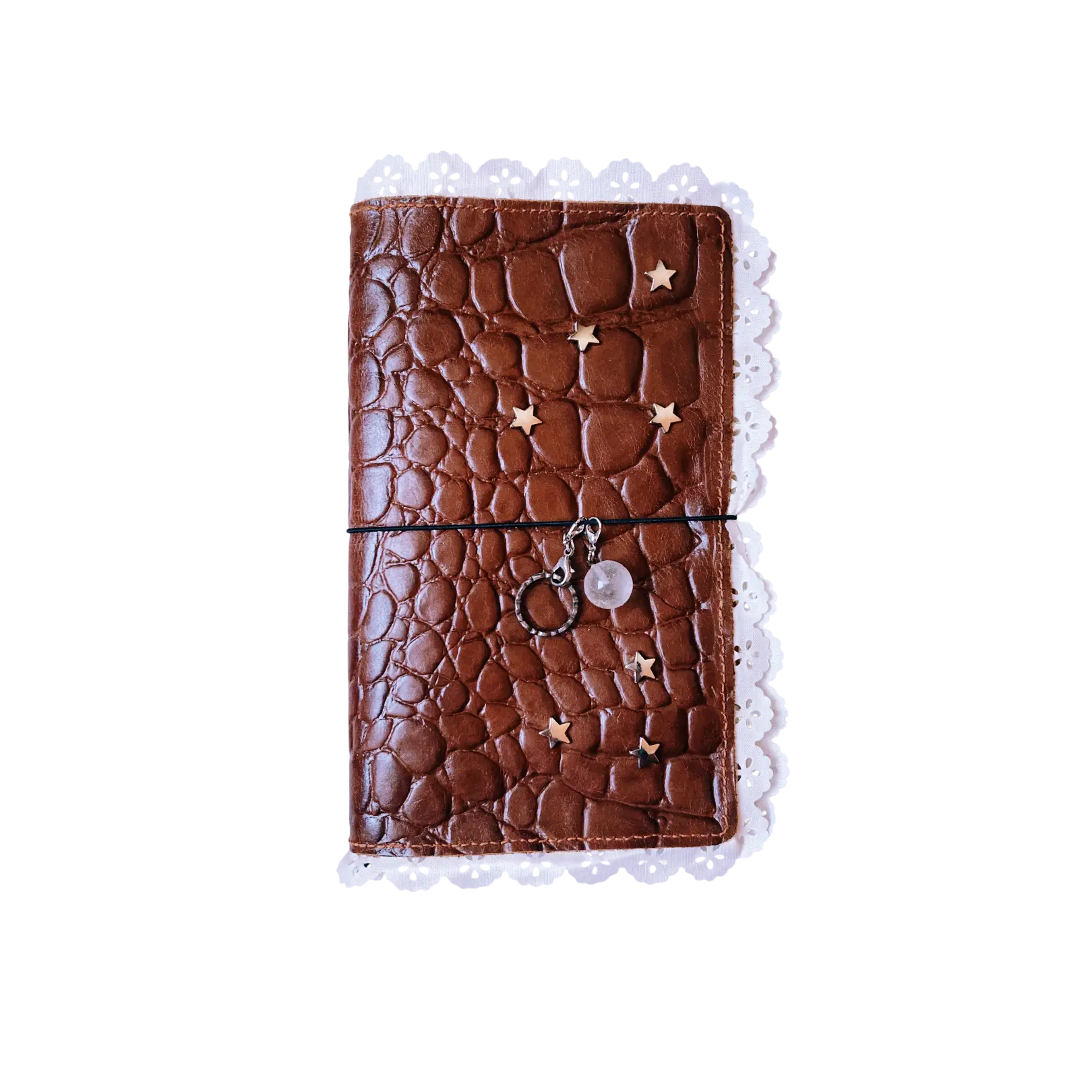 experimental journal