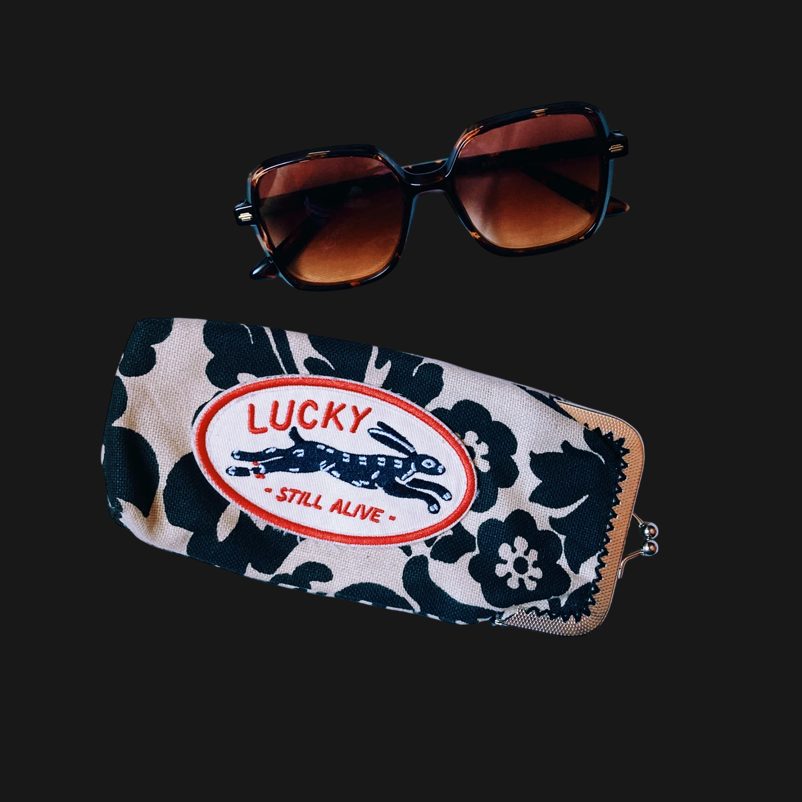glassescase
