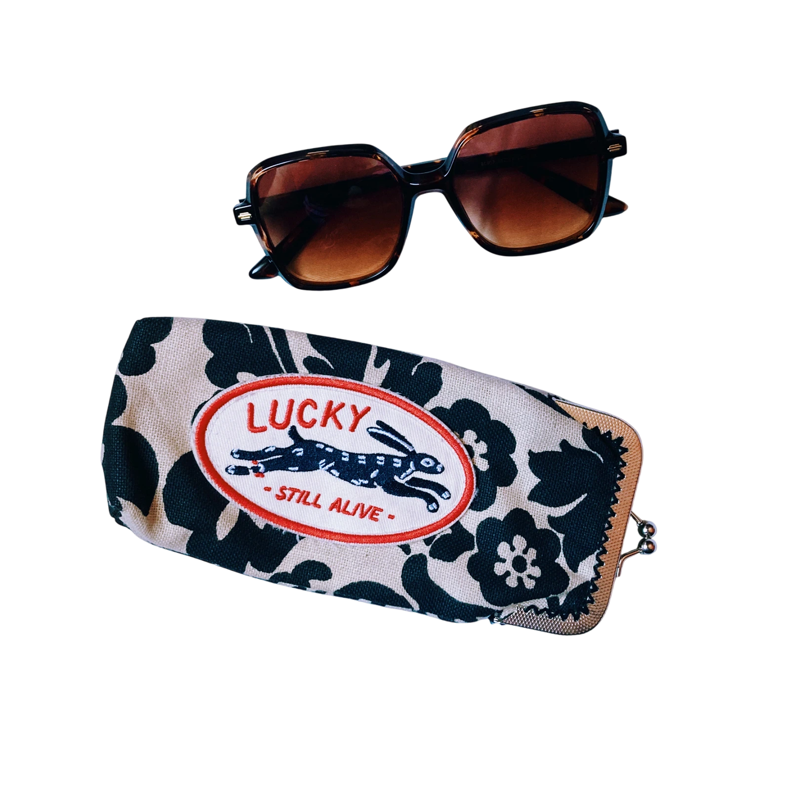 glassescase